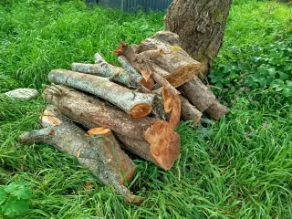 Leña de manzano para chimenea