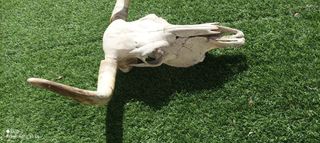 Artículo para decoración