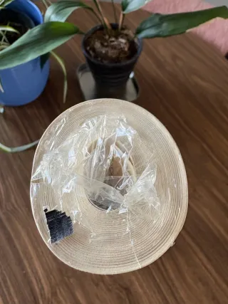 Papel pintado Zoffany Pomegranate V437802