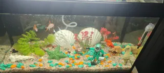 Pecera con accesorios