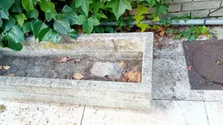 Jardinera de piedra rectangular