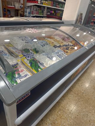 Arcón Congelador para Tienda