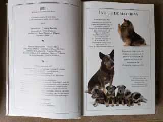 Libro, manual de identificación de perros