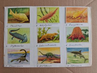 Cromos Félix el Amigo de los Animales