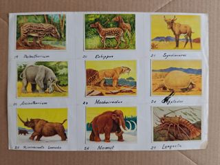 Cromos Félix el Amigo de los Animales