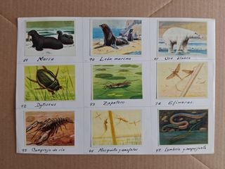 Cromos Félix el Amigo de los Animales