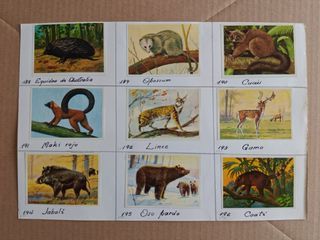 Cromos Félix el Amigo de los Animales