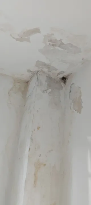 Pinturas Rugarca S.L