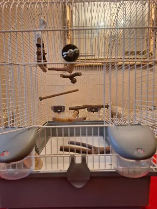 Jaula grande para pájaros con accesorios