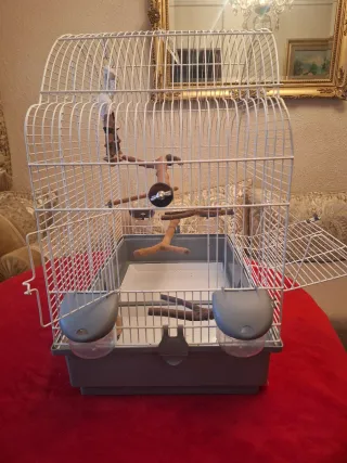Jaula grande para pájaros con accesorios