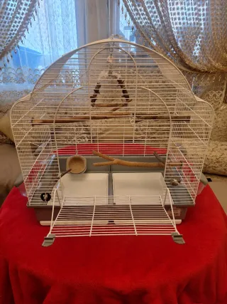Jaula grande para pájaros con accesorios