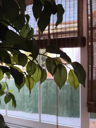 Árbol artificial Ficus 1,80m