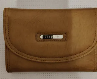 Portafoglio Carpisa marrone