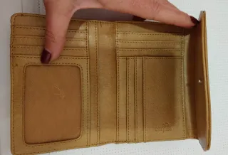 Portafoglio Carpisa marrone