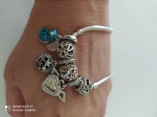 Bracciale Pandora con 6 Charm Tutto argento 925