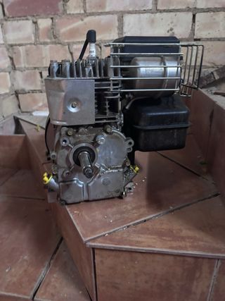 Motor Gasolina BaSIC 5.5HP 19mm
