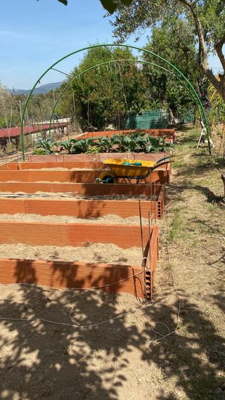 Huerto de 520 m. en Sabadell, zona de la Salut