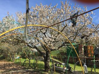 Huerto de 520 m. en Sabadell, zona de la Salut