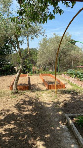 Huerto de 520 m. en Sabadell, zona de la Salut
