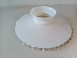 Tulipa opalina antigua grande