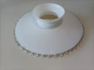 Tulipa opalina antigua grande