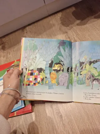 L'Elmer. Un conte - L'Elmer