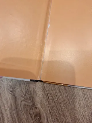 L'Elmer. Un conte - L'Elmer