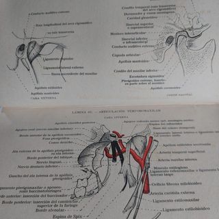 ATLAS DE ANATOMÍA Edición de 1934 Buen estado