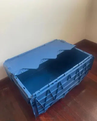 Caja de almacenaje Makro azul
