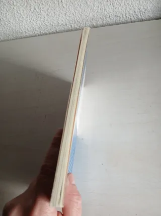 Un amor de libro (Ala delta: serie azul/ Hang G...