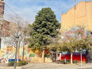 Piso en alquiler en Carolinas Bajas en Alicante