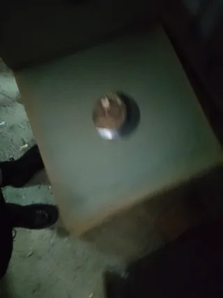 Carpeta Roja La Voz de Su Amo y discos