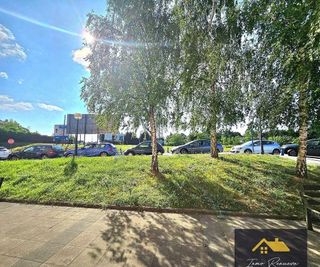 Oficina en venta en Mungia