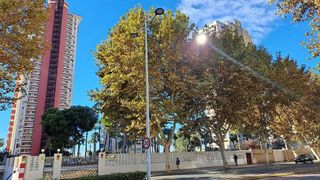 Piso en venta en Playa de Levante en Benidorm