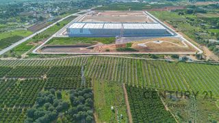 Terreno en alquiler en Camì Paterna-Lloma del Calderer en Bétera