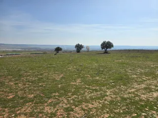 Terreno vallado 64.300m2