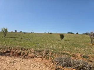 Terreno vallado 64.300m2