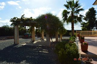 Chalet en venta en Totana