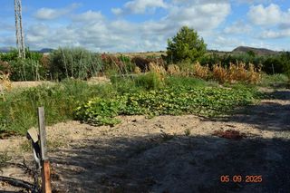 Chalet en venta en Totana