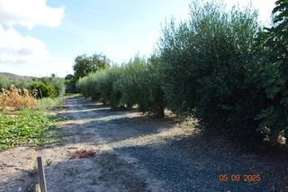 Chalet en venta en Totana