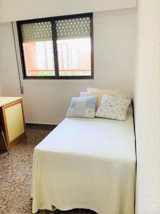 Piso en alquiler en Mestalla en Valencia