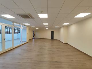 Oficina en alquiler en Sector Sur  - La Palmera - Reina Mercedes en Sevilla