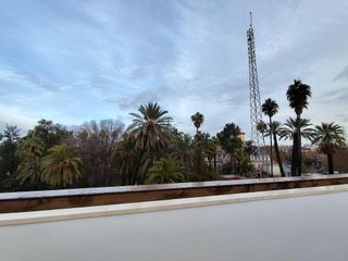 Oficina en alquiler en Sector Sur  - La Palmera - Reina Mercedes en Sevilla