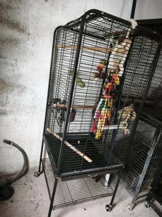 Jaula para loros grande