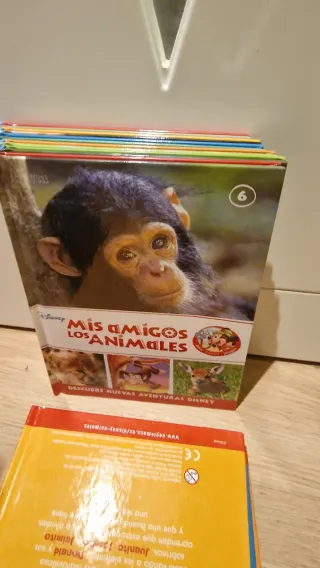 Libros Disney - Mis amigos los animales