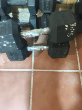 Banco de pesas y mancuernas