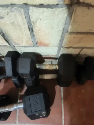 Banco de pesas y mancuernas