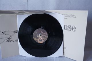 Vinilo Ginhouse Prog Rock, Blues Rock