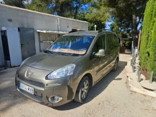 Polestar partner  2014