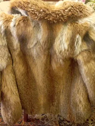 Abrigo de zorro natural